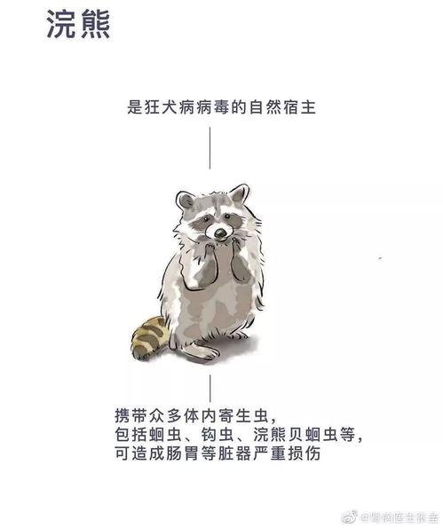 爷爷吃毒瓜蛇的小说免费阅读,生死较量,揭秘神秘植物之谜 第2张 爷爷吃毒瓜蛇的小说免费阅读,生死较量,揭秘神秘植物之谜 第2张